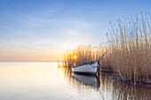 Ruderboot im Schilf bei Sonnenuntergang, bei Warthe, Lieper Winkel, Insel Usedom, Ostsee, Mecklenburg-Vorpommern, Deutschland