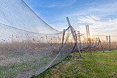 Fischernetz beim Trocknen, Landschaft bei Seebad Loddin, Insel Usedom, Mecklenburg-Vorpommern, Deutschland