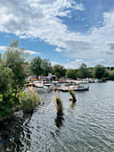  Idyllic view of the Havel River on the Werder Peninsula, Brandenburg, Germany, Europe 