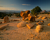 Frühlingssonnenuntergang über dem felsigen Wüstengelände mit Argonbäumen in der Nähe von Tafraoute, Anti-Atlas, RegionSouss-Massa, Südmarokko.