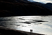  Backlit scene with expedition cruise ship passengers walking on a hill above bright, icy water, Terrassepynt, East Greenland, Greenland Europe 