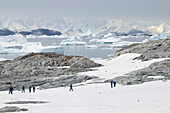 Wanderer von Kreuzfahrtschiff Ocean Albatros und Pinguine vor Eisbergen auf Petermann Island, Wilhelm-Archipel, Argentinien, Antarktische Halbinsel, Antarktis, Südpolarkreis