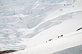  Passengers of expedition cruise ship Ocean Albatros (Albatros Expeditions) walk along a snow-covered hill, dwarfed by a nearby glacier, Neko Harbour, Antarctic Peninsula, Antarctica 
