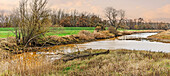  Elbe River Landscape Biosphere Reserve near Dömitz, Mecklenburg-Western Pomerania, Germany 