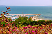  View of the marina and beach of Sidi Bou Said and the Gulf of Tunis, Tunisia 