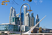 Die Brücke Puente de la Mujer und Hochhäuser im Hafenviertel Puerto Madero, Buenos Aires, Argentinien, Südamerika