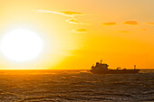  Cargo ship, sunset, Atlantic, Puerto Madryn, Argentina, South America 