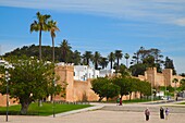 Morocco, Salé, skyline, general view, city walls, 