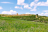  Ruins of ancient Thugga at the archaeological site near Dougga, Tunisia 