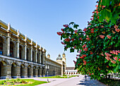  Munich Residence, Hercules Hall, at the Hofgarten with red flowering chestnut trees and view of Theatinerkirche St. Kajetan in Munich, Bavaria, Germany 