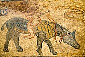 Morocco, Volubilis, historic roman ruins, mosaic, the Acrobat, 