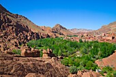 Morocco, Dadès Gorge, landscape, scenery, 