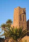  Marokko, Dadès-Tal, Skoura, Kasbah, Palmenhain 