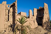  Marokko, Dadès-Tal, Skoura, Kasbah, Palmenhain 