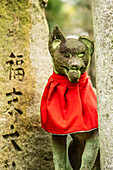 Fox statue wearing a red bib and a ball in its mouth at Fushimi Inariyama.