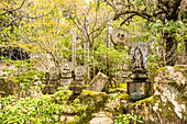 Bucchist statues at the Daisho-in Temple; a Japanese Buddhist temple affiliated with the Shingon sect, situated at the base of Mount Misen, Miyajima Island, Hiroshima Prefecture, Japan.