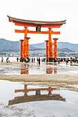 People looking at the O-torii shrine gate during low tide.