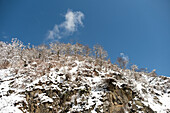  Verschneite Landschaft mit Sonnenschein und blauem Himmel in der Schneeaffenstadt Jigokudani Yaen-Koen, Shiga Kogen, Nagano, Japan. 
