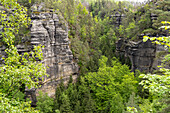  Rock formation and forest in the Bohemian Switzerland National Park near Hřensko, Czech Republic 
