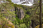  Rock formation and forest in the Bohemian Switzerland National Park near Hřensko, Czech Republic 