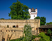  Garden of the Electoral Castle with rose arrangements, castle tower in the background, Eltville, Rheingau, Hesse, Germany 