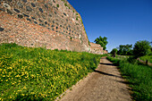 Nature trail in the Rhine meadows with wildflowers along the historic city wall, Zons, Dormagen, Lower Rhine, North Rhine-Westphalia, Germany 