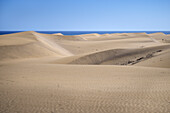  Maspalomas Sand Dunes Nature Reserve, Gran Canaria, Canary Islands, Spain, Europe 