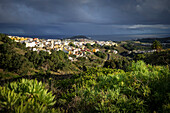 Lush vegetation in the highlands of Gran Canaria, view of villages and sea, Canary Islands, Spain, Europe 