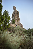  Man and woman taking a snack break at a pointed rock formation at the Roque Nublo Reserve, Gran Canaria, Canary Islands, Spain, Europe 