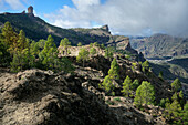  View of the rock formation &quot;Roque Nublo&quot;, Gran Canaria, Canary Islands, Spain, Europe 