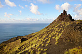 Vulkangestein mir üppiger Vegetation oberhalb des Playa de Guayedra, Agaete, Gran Canaria, Kanarische Inseln, Spanien, Europa, Atlantischer Ozean