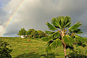 Landscape in a stormy sky, Grande-Terre, Guadeloupe, overseas region of France,Leewards Islands, Lesser Antilles, Caribbean