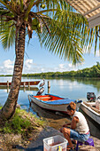 Woman cleaning freshly caught fish at Grand Cul-de-sac Marin,Vieux-Bourg, Morne-a-l'eau, Grande-Terre, Guadeloupe, overseas region of France,Leewards Islands, Lesser Antilles, Caribbean