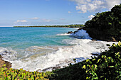 Cove of Clugny, between Deshaies and Sainte-Rose, Basse-Terre, Guadeloupe, overseas region of France,Leewards Islands, Lesser Antilles, Caribbean