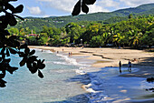 Leroux beach, between Deshaies and Pointe-Noire, Basse-Terre, Guadeloupe, overseas region of France,Leewards Islands, Lesser Antilles, Caribbean