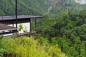Chalet of Santani Wellness Resort, Arantenna Estate, \nWerapitiya, Kandy, Sri Lanka, Indian subcontinent, South Asia