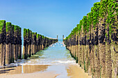  Domburg is a Dutch seaside resort on the North Sea coast. It is located on the Walcheren peninsula in the province of Zeeland and is the administrative center of the municipality of Veere. Beach view with bollards and seagulls. 