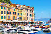 Portofino marina, Portofino, Liguria, Italy