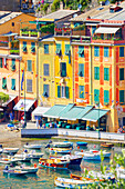 Portofino marina, Portofino, Liguria, Italy
