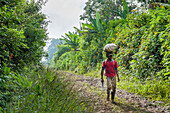 Man on a track in Obo Natural Park,Sao Tome Island, Republic of Sao Tome and Principe,Africa