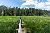  Hiker on boardwalk in Lahemaa National Park, Estonia 
