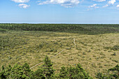  Aabla raba moor with boardwalk, Lahemaa National Park, Estonia 