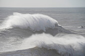 Big wave on the coast of Nazare, Atlantic coast Portugal