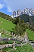 Blilck zur Geislergruppe, im Villnößtal, Dolomiten, Trentino-Südtirol, Italien
