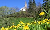  St. Magdalena in the Villnöß Valley, Dolomites, South Tyrol, Italy 