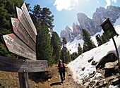 Wandern auf dem A. Munkel-Weg unter der Geisler Gruppe, Villnößtal, Dolomiten, Trentino-Südtirol, Italien