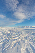  Winter landscape at Mohnbukta, Svalbard, Norway 