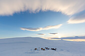  Winter camp with tents in the snow at Mohnbukta, Svalbard, Norway 