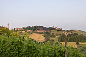  Surroundings of Monforte d&#39;Alba in the Langhe wine region, Piedmont, Italy 