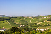  View of vineyards in the Langhe wine region, Piedmont, Italy 